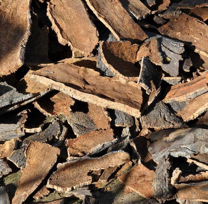 Green Building - Copie